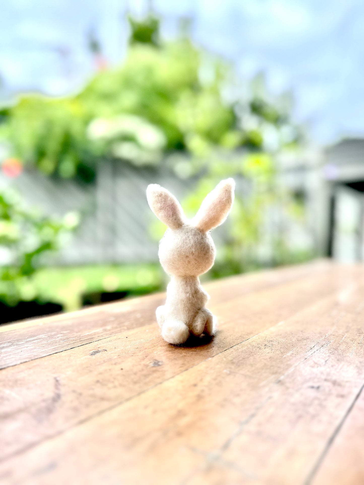 Hoppy Floof